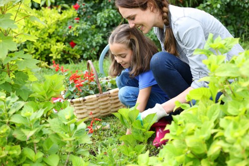 Lush garden during summer maintenance