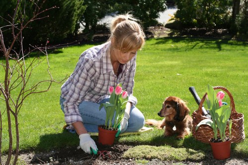 Eco-friendly garden clearance practices in action