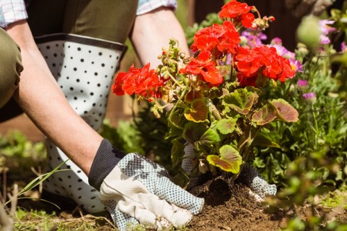 Close-up of insurance documents and certificate for a gardening company