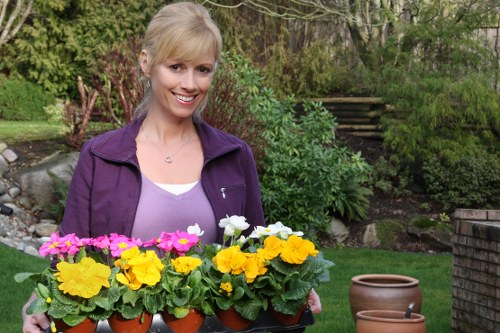 Pruning shrubs in a garden