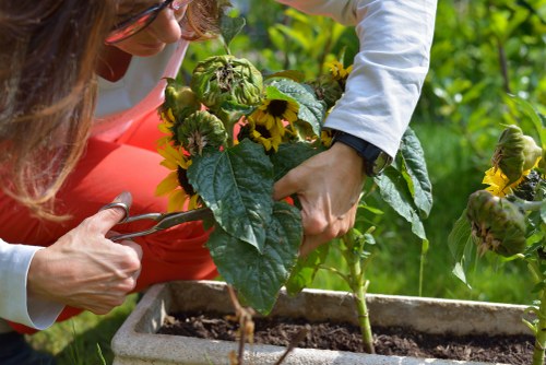 Training session showing gardeners learning safe equipment use